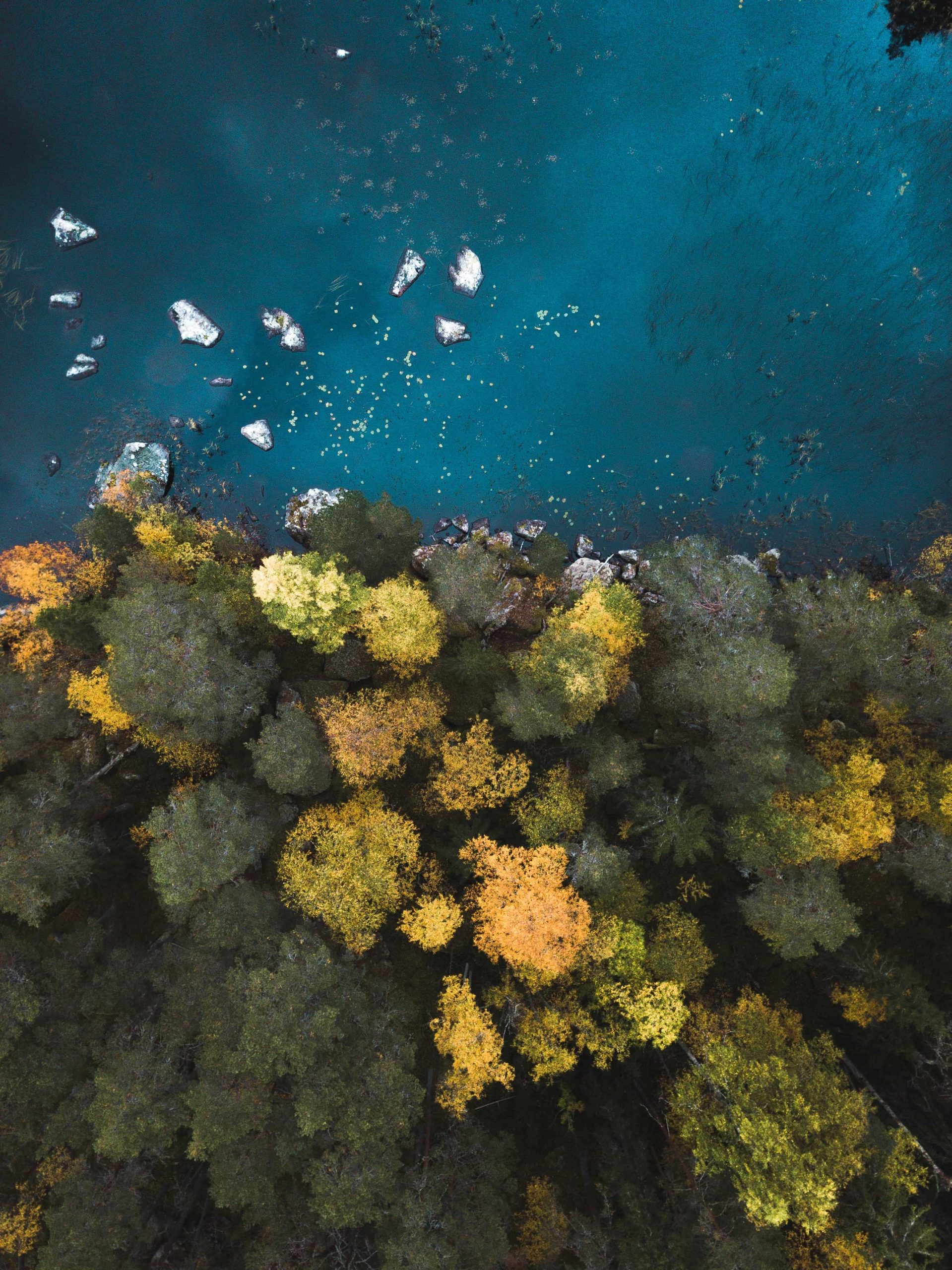 The secret for success